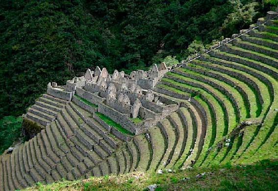 Excursion Camino Inca - Peru