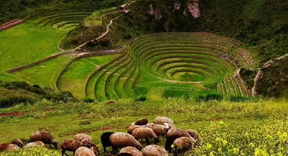 Moray - Sacred Valley of the Incas