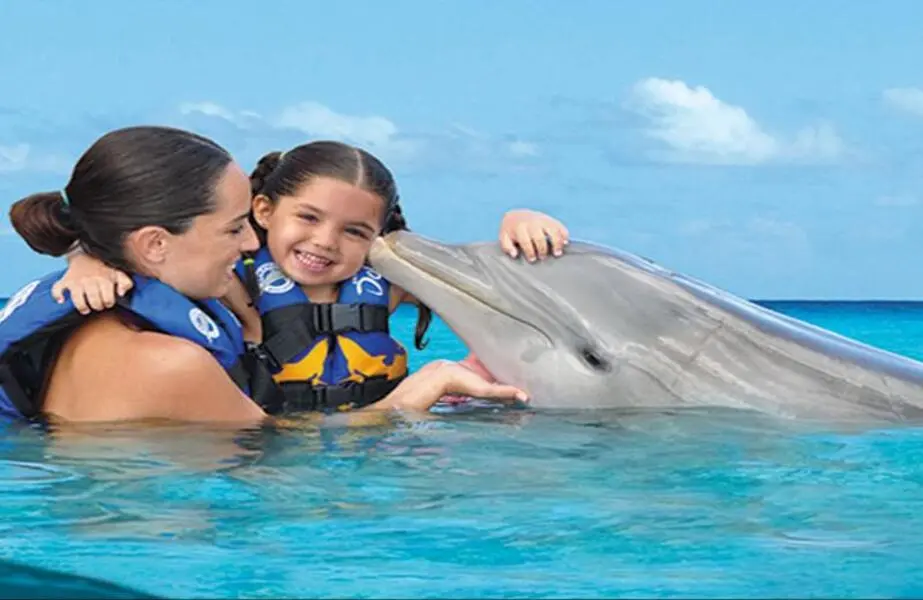 Encuentro con delfines - Punta Cana