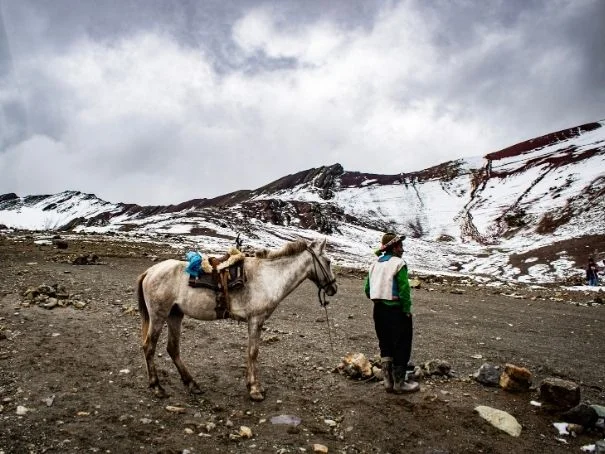 Horseback ride at the rainbow mountain
