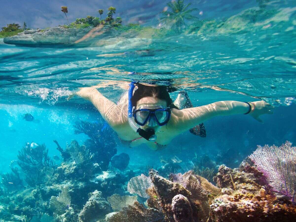 practica de snorkeling en las islas de cartagena