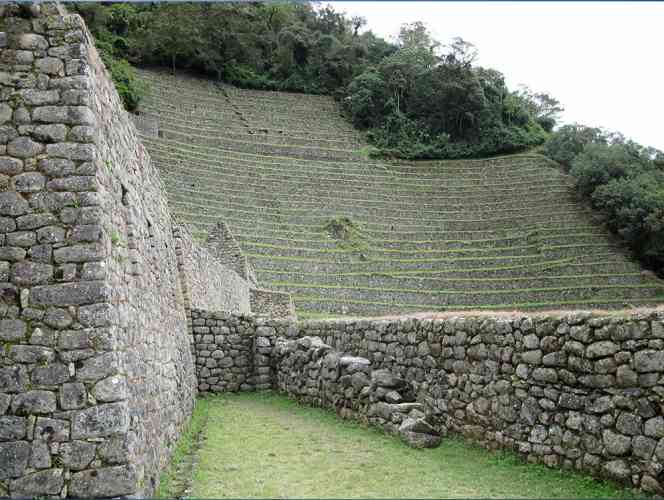 TREKKING “DESDE PACAYMAYU HASTA WIÑAYHUAYNA”