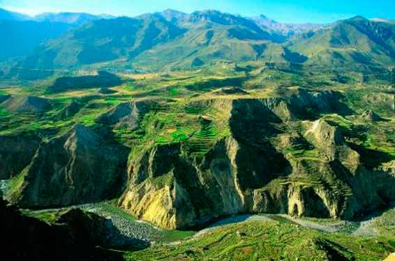 Cañon del Colca - Arequipa