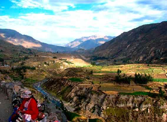 City tours - Puno - Lima