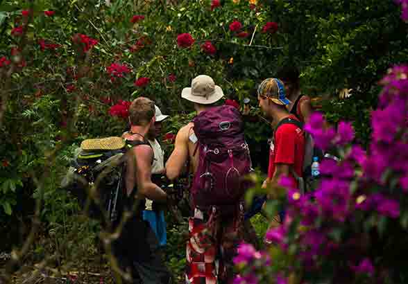 inca-jungle-trail-tour-machupicchu