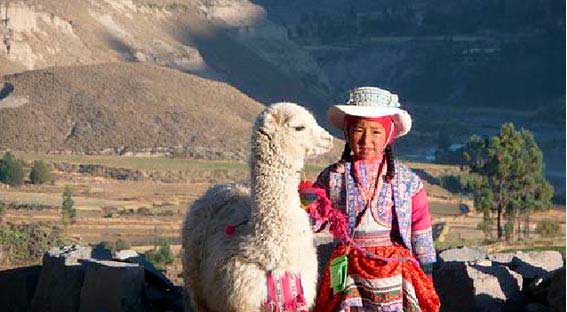 Trekking - Colca - Arequipa