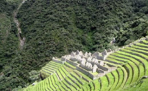 Wiñaywayna