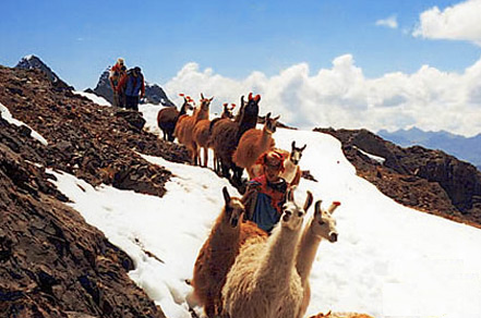 Lares Trek to Machupicchu