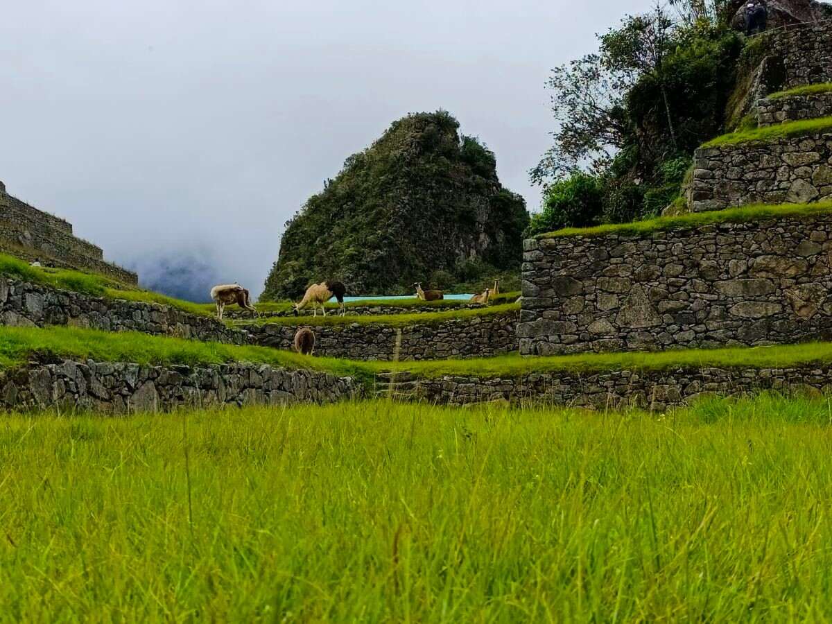 ciudad de inca machupicchu