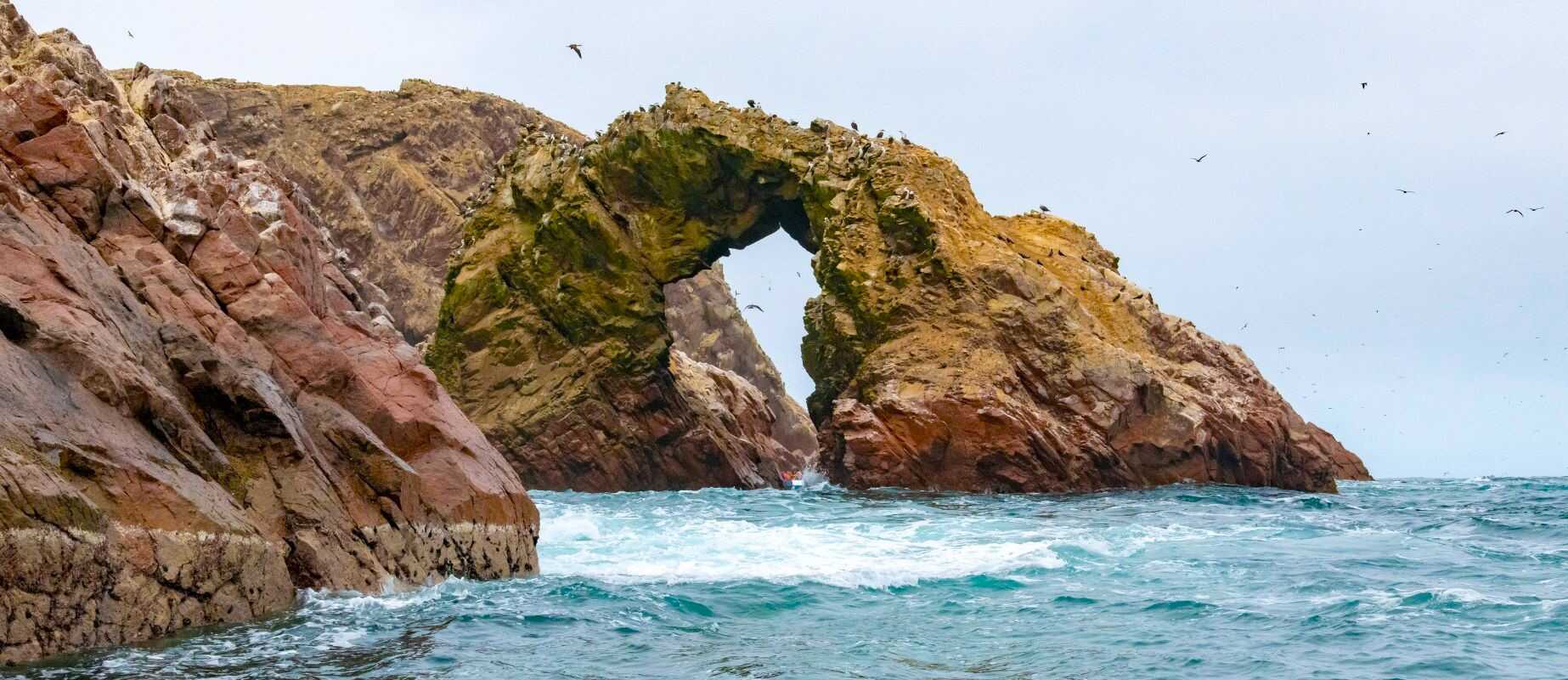 Islas Ballesta - Ica
