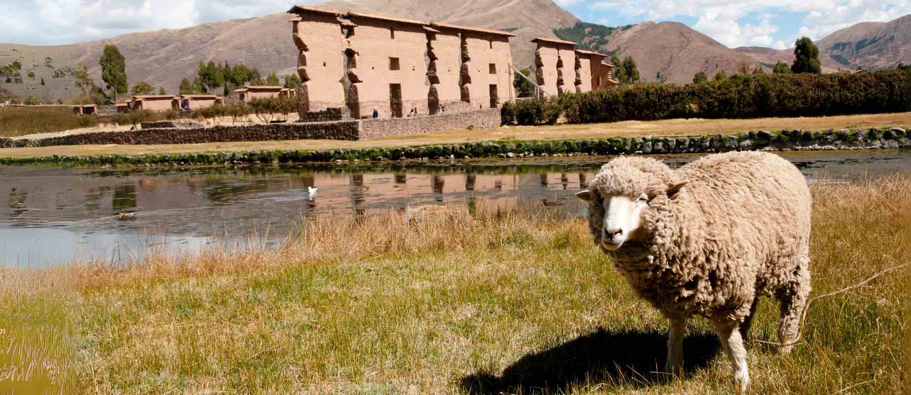 archaeological complex of Raqchi