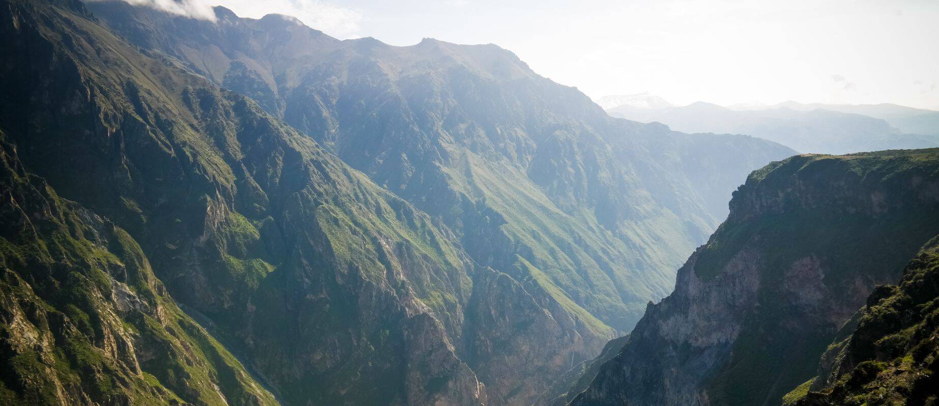vista del cañon del colca en el cruz del cóndor