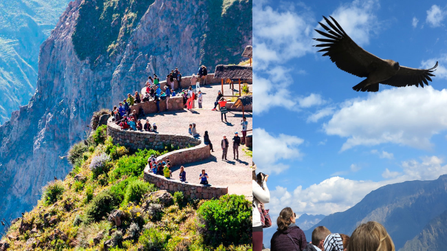 Viceregal Peru (Lima, Cusco, Puno and Arequipa) 10 days 9 nights