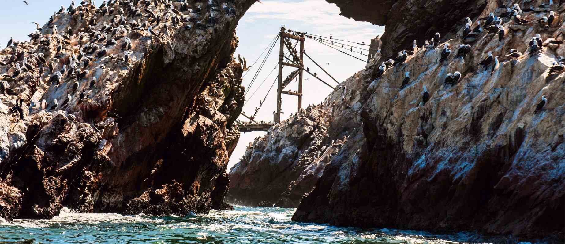 ballestas islands in ica