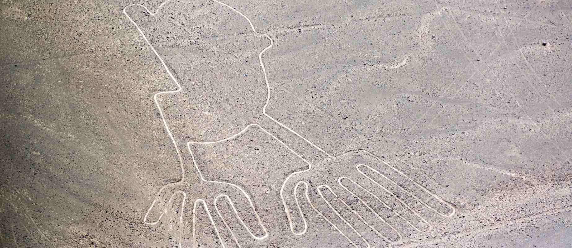vista aerea de las lineas de nazca