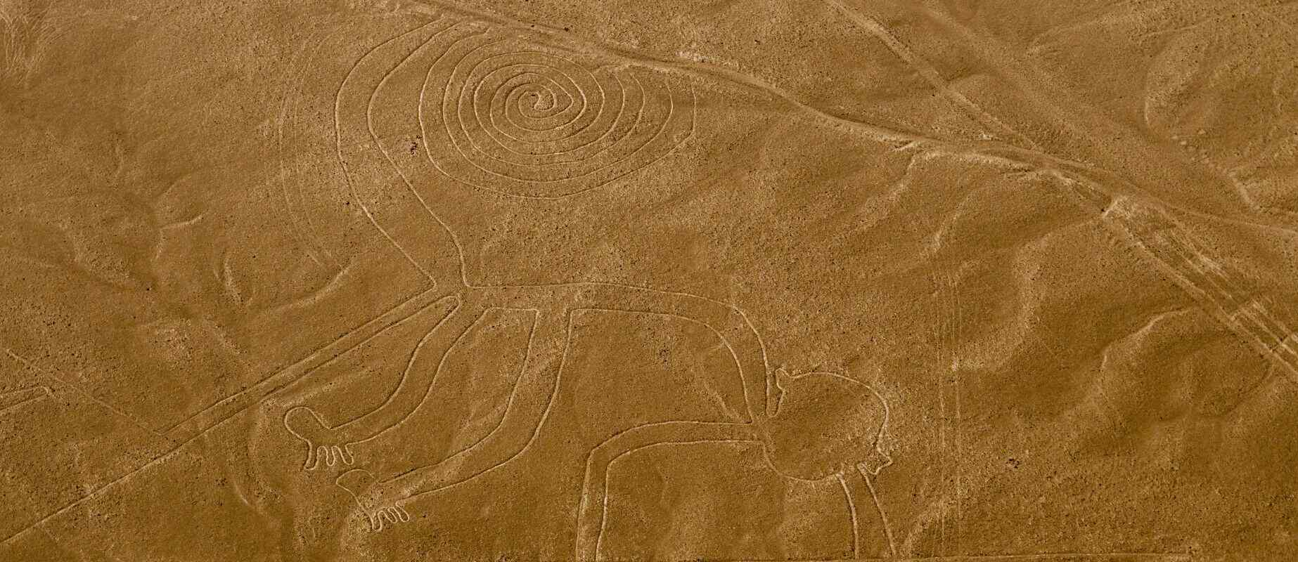monkey figure on the nazca lines