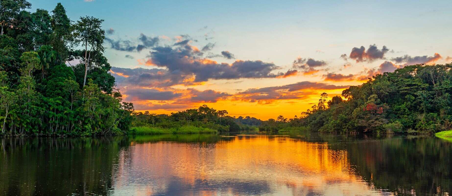 Selva peruana - Amazonas