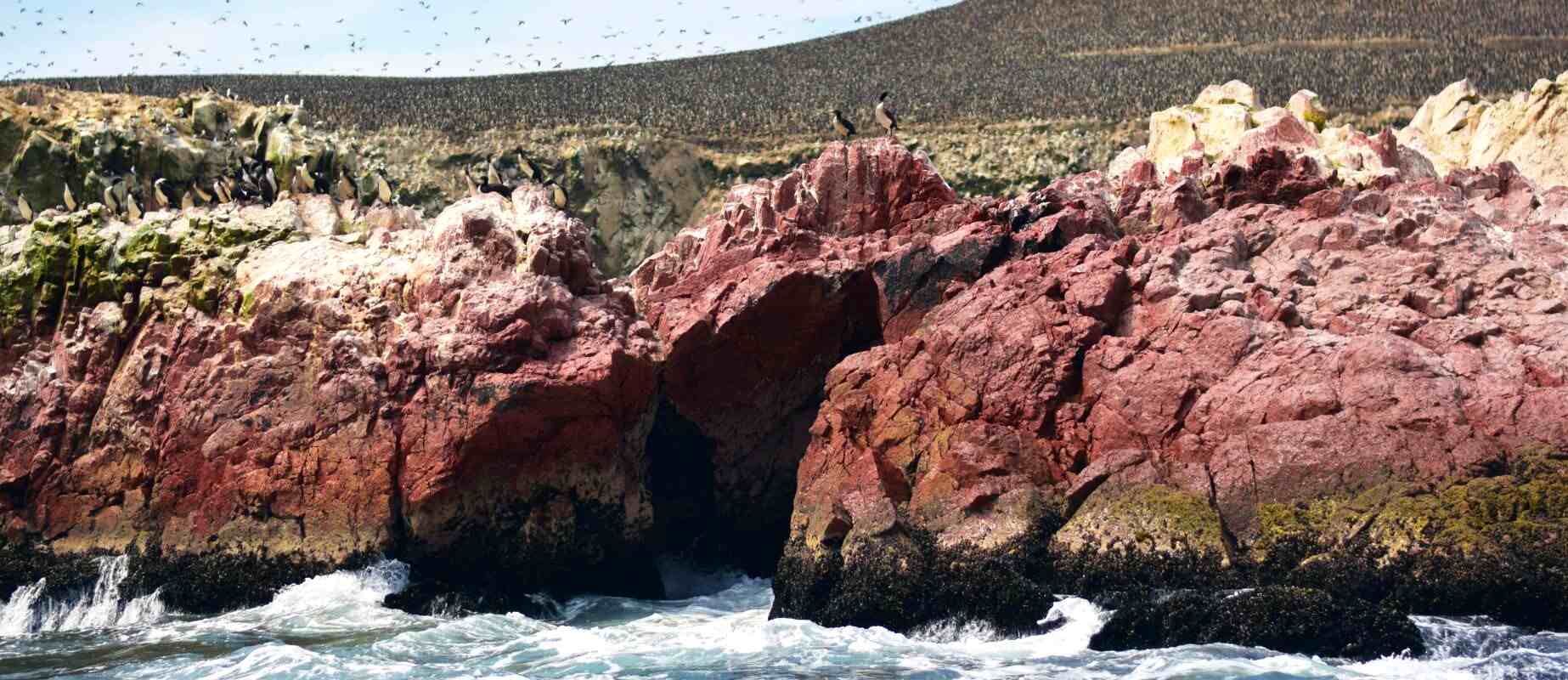 ballestas islands ica