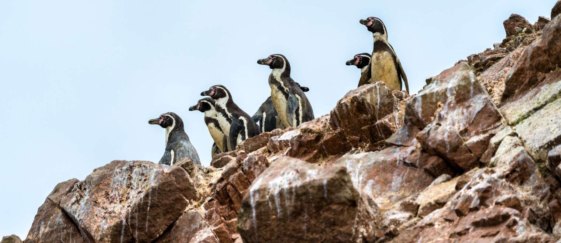 tour paracas